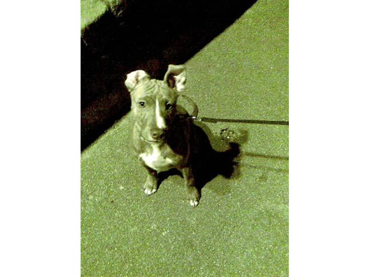 {{currentPhoto.altText}} billede {{currentPhoto.number}}