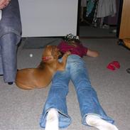 Blanding af racer Freya