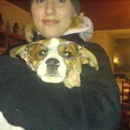 Blanding af racer Pumba