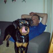 Rottweiler Maggi