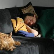 Blanding af racer Pogo