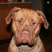 Blanding af racer Achina & Pablo