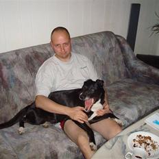 Blanding af racer Lady