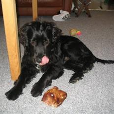 Blanding af racer Tico