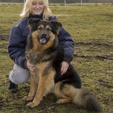 Blanding af racer rolf