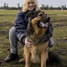 Blanding af racer rolf