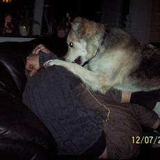 Blanding af racer lucy