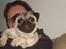 Mops Perle