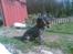 Blanding af racer Tess - hvad?! kigger bare...