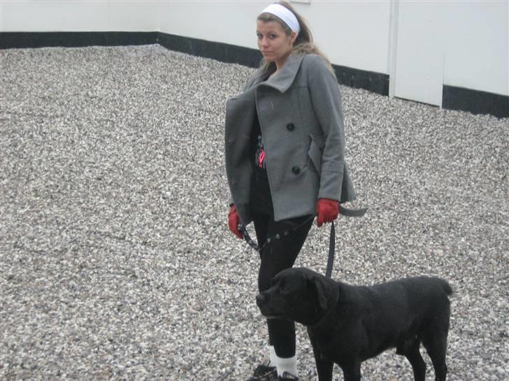 Labrador retriever Burre. aflivet d.27/04 09 - mig og burre januar 08 billede 10