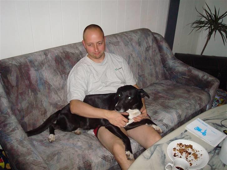 Blanding af racer Lady - Er det her ikke bare råhygge??? billede 2