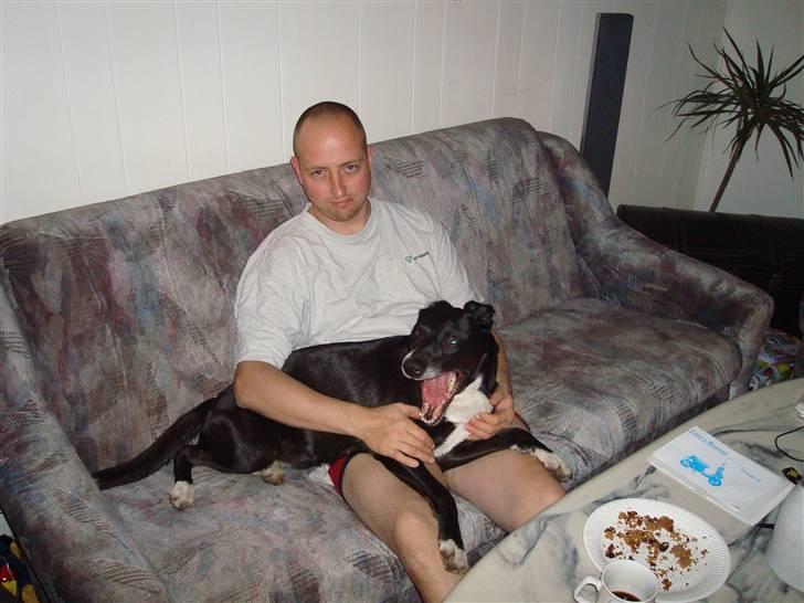 Blanding af racer Lady - er det da ikke bare kedeligt det her .......skal vi ikke lege i stedet.... billede 3