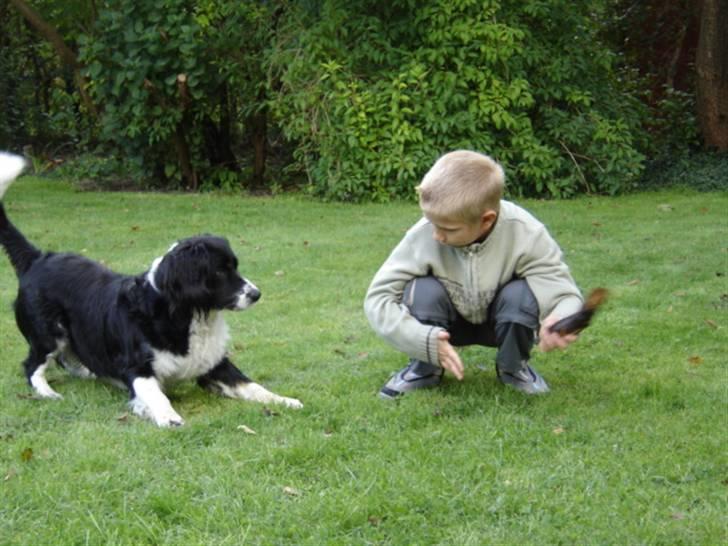 Blanding af racer viktor RIP 4/1-2011 - viktor leger med naboens søn billede 3