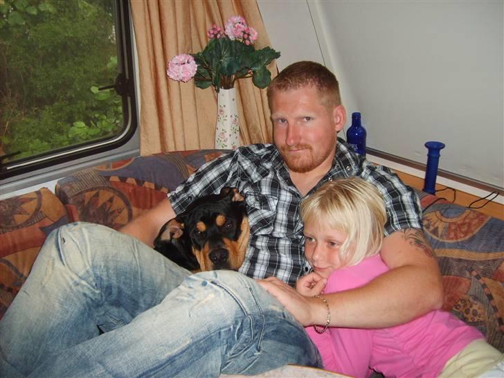 Blanding af racer BJØRN - på camping billede 12