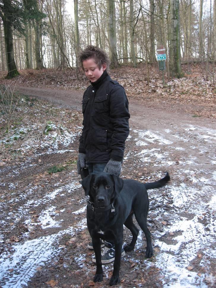 Blanding af racer BUSTER - Buster og John i skoven billede 18