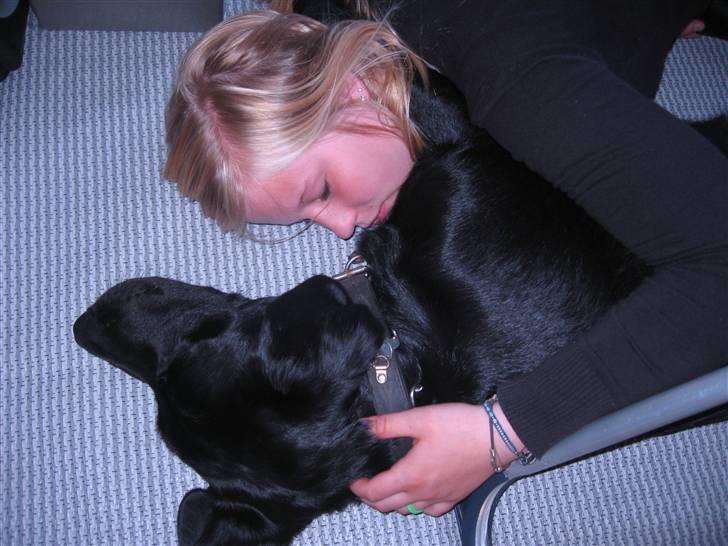 Blanding af racer BUSTER - Jeanett og Buster sover i forteltet billede 19