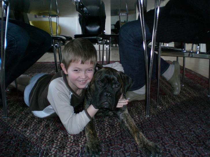 Bullmastiff Berta - Min bror & Berta ;D billede 13