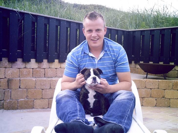 Olde english bulldogge *OSCAR* billede 11