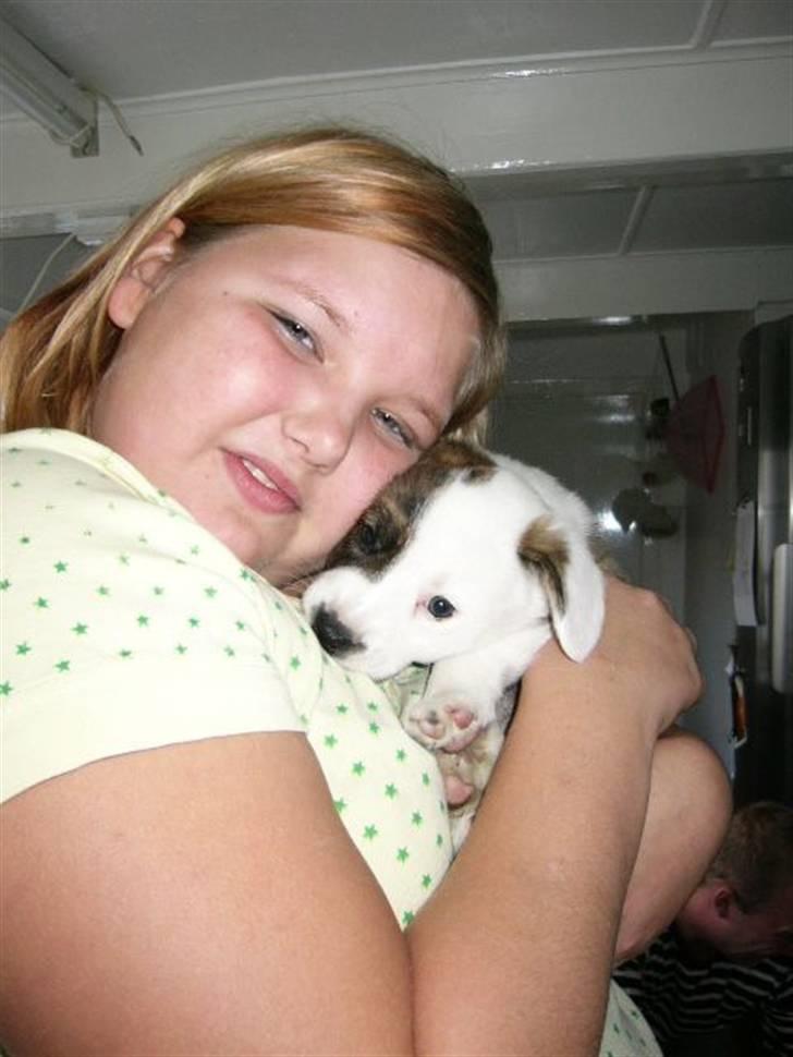 Welsh corgi cardigan Hanibal - Mig og min dejlige storesøster. billede 2