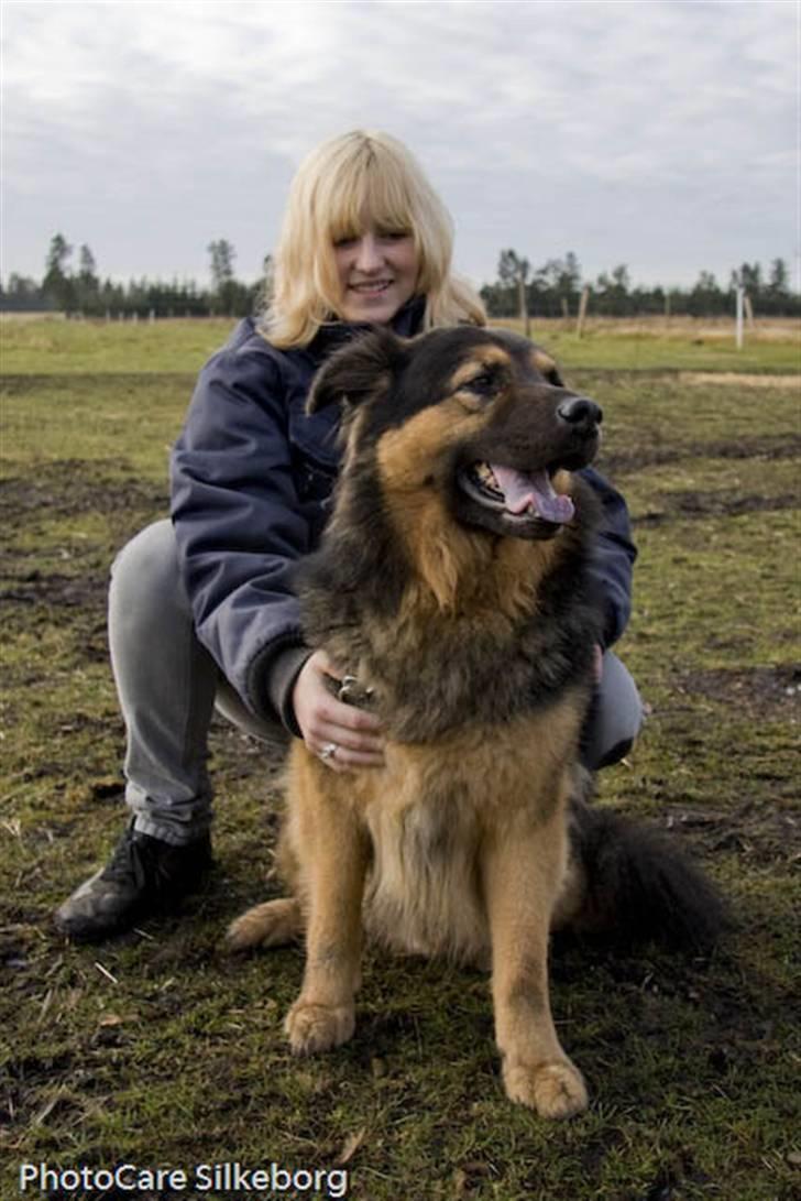 Blanding af racer rolf - her er vi igen billede 3