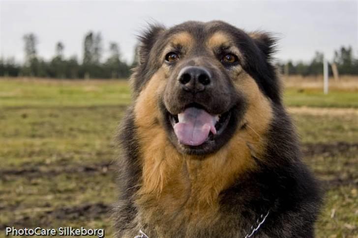 Blanding af racer rolf - og her er jeg  billede 4