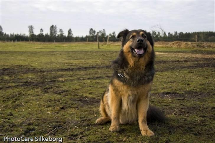 Blanding af racer rolf - er der ikke nogen der vi snakke med mig billede 5
