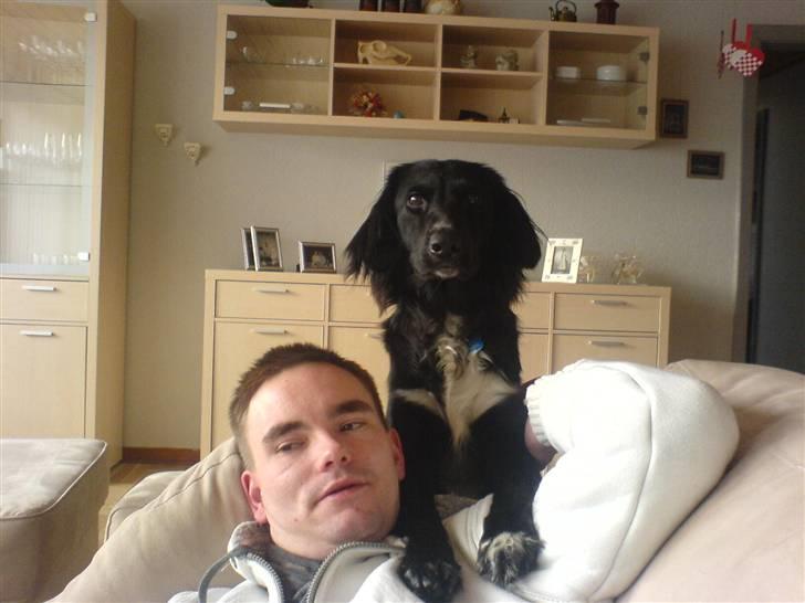 Blanding af racer Rocky - Her kan jeg rigtig se ud over det hele billede 12