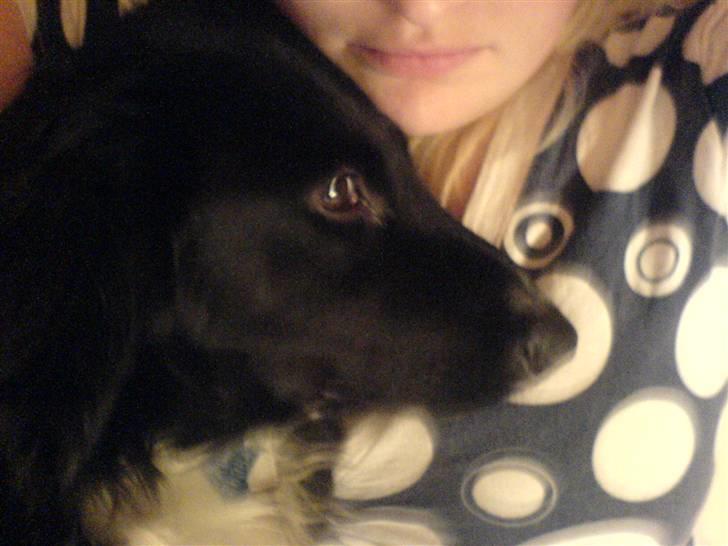 Blanding af racer Rocky - Putter ved mor...dejligt billede 16