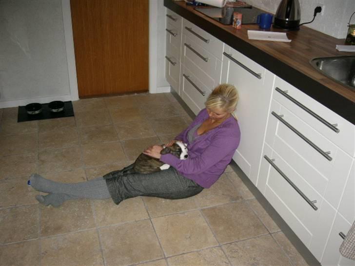 Welsh corgi cardigan Hanibal - Mig og min mor billede 9