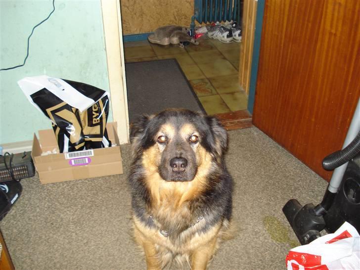 Blanding af racer rolf - jeg har ikke gjort noget billede 6