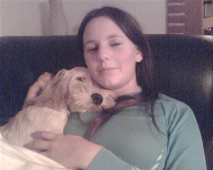 Blanding af racer Mercedes billede 4