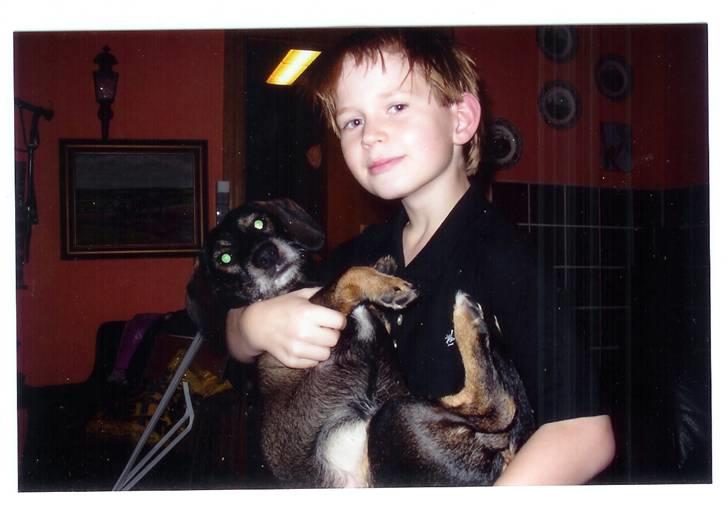 Blanding af racer Fister billede 8