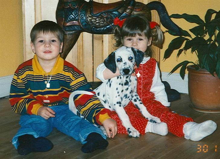 Dalmatiner Bell-A-Mir's Babuska*RIP* - Babuska 9 uger billede 4