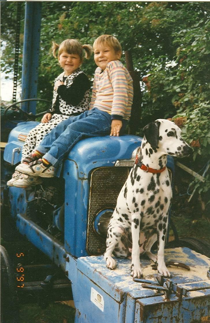 Dalmatiner Bell-A-Mir's Babuska*RIP* - Babuska, knap 12 mdr. billede 5