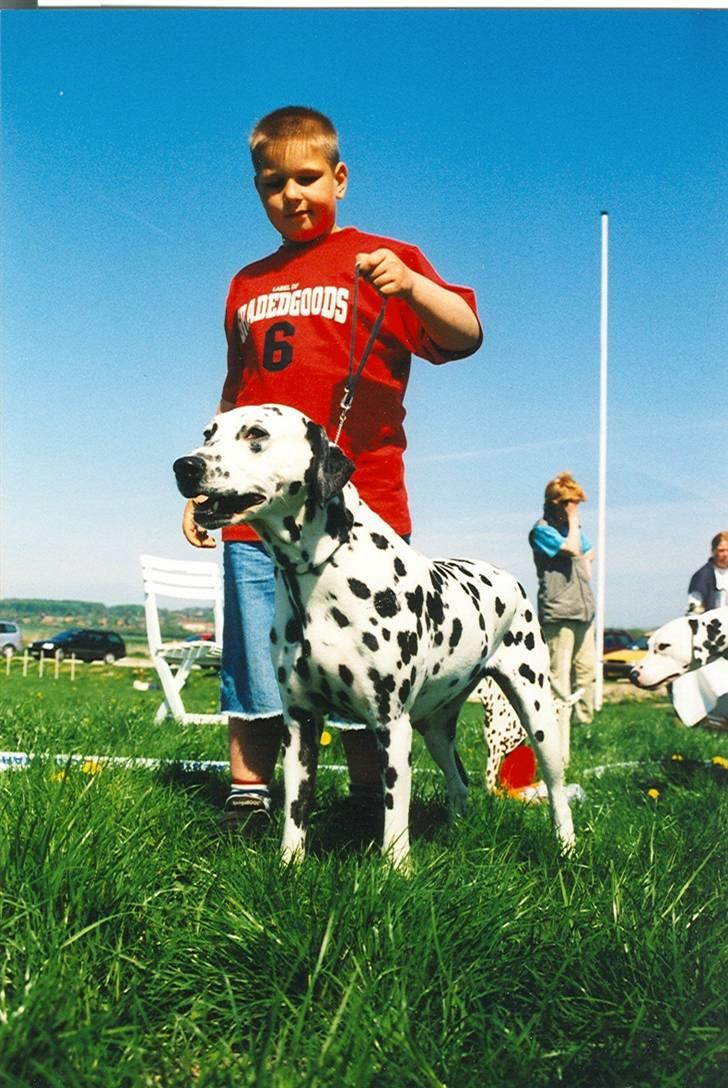Dalmatiner Bell-A-Mir's Babuska*RIP* - Mathias & Babuska i Barn & Hund, Dalmatiner-dag Århus, 2001 billede 8
