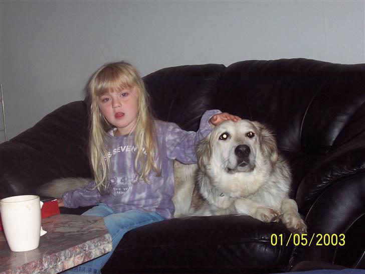 Blanding af racer lucy - hyggermed isabell billede 3