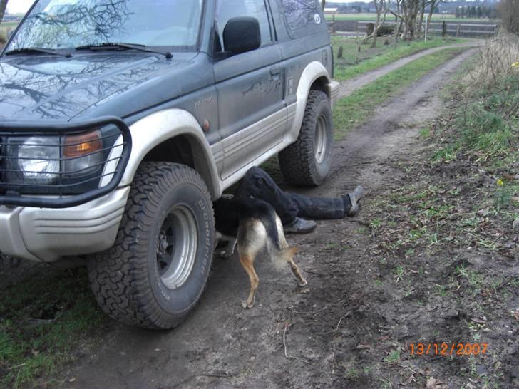 Blanding af racer Buffy  - Far, du gør det forkert. Lad mig vise dig hvordan du skal gøre billede 3
