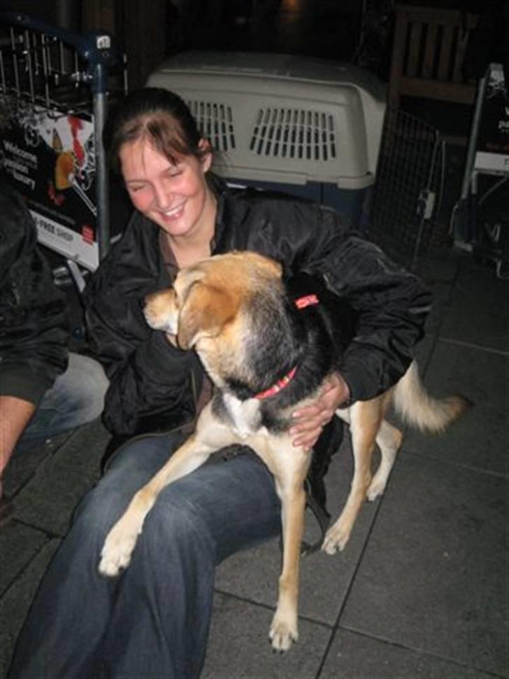 Blanding af racer Buffy  - Her hentede mor og far mig i lufthavnen billede 6