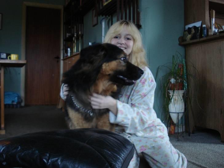 Blanding af racer rolf billede 10