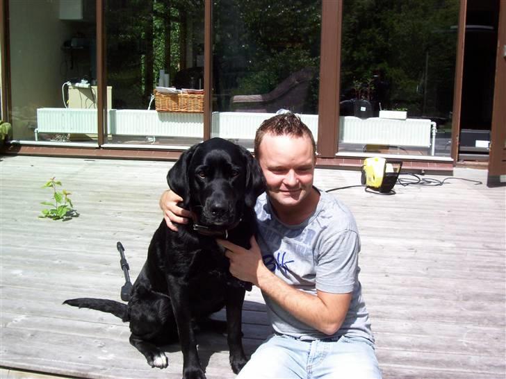 Blanding af racer Siggi billede 5