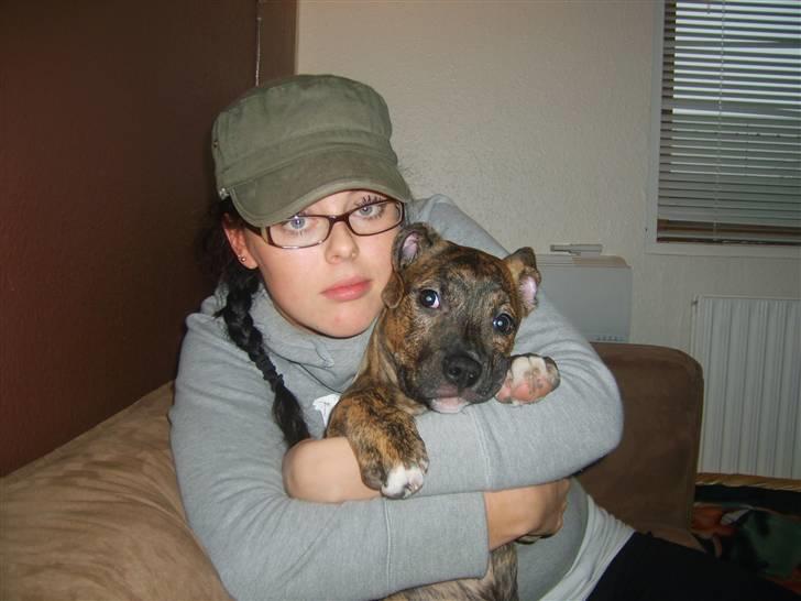 Amerikansk bulldog Dixie - de 2 piger i min fars liv<3 billede 16