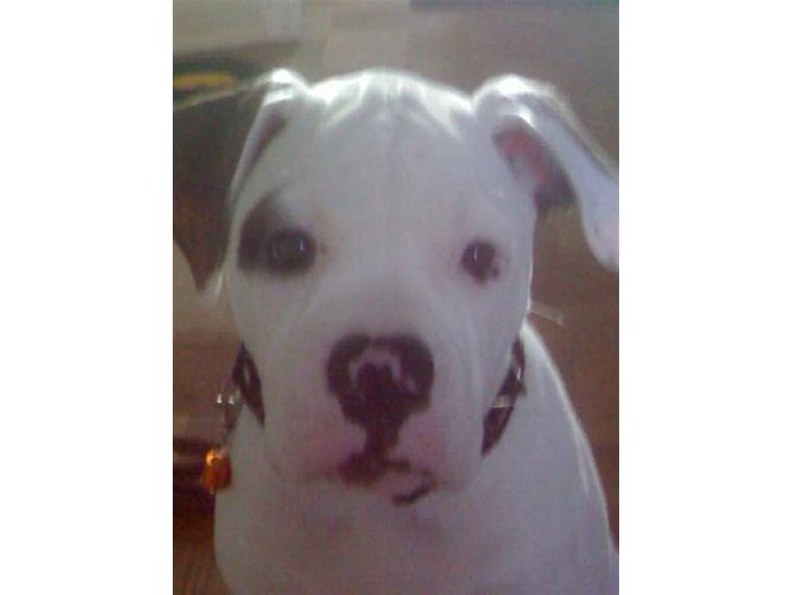 {{currentPhoto.altText}} billede {{currentPhoto.number}}