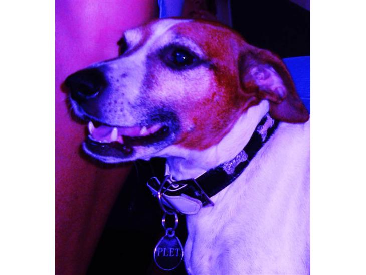 {{currentPhoto.altText}} billede {{currentPhoto.number}}