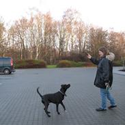 Blanding af racer Eiko