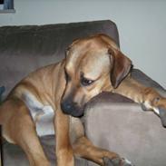 Blanding af racer Achina & Pablo