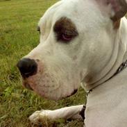 Blanding af racer Messy