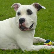 Blanding af racer Messy