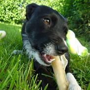 Blanding af racer nancy