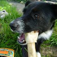 Blanding af racer nancy