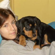 Blanding af racer Luna - Solgt..